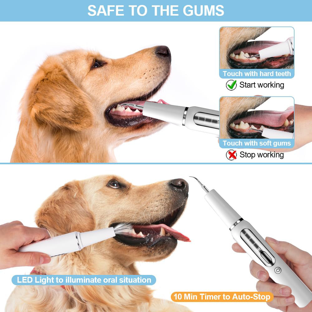 PawClean — Ultrasonic Dental Care for Happy, Healthy Pets