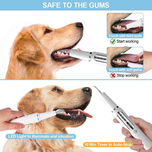 PawClean — Ultrasonic Dental Care for Happy, Healthy Pets